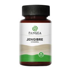 JENGIBRE GINGEROL PANGEA NATURAL PRODUCTS X 60 CPS