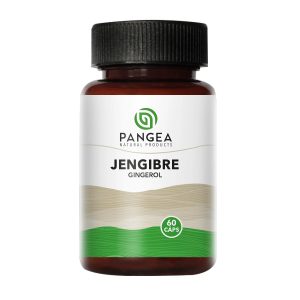 JENGIBRE GINGEROL PANGEA NATURAL PRODUCTS X 60 CPS
