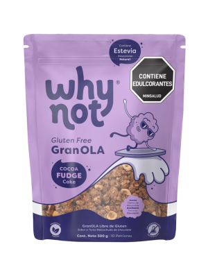 GRANOLA COCOA FUDGE WHY NOT 300 GR