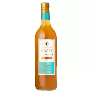KOMBUCHA GINGER SOUR X750 ML