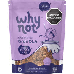 GRANOLA COCOA FUDGE WHY NOT 300 GR