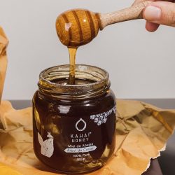 MIEL DE ABEJAS 300 GR KAHAI 100 PURA